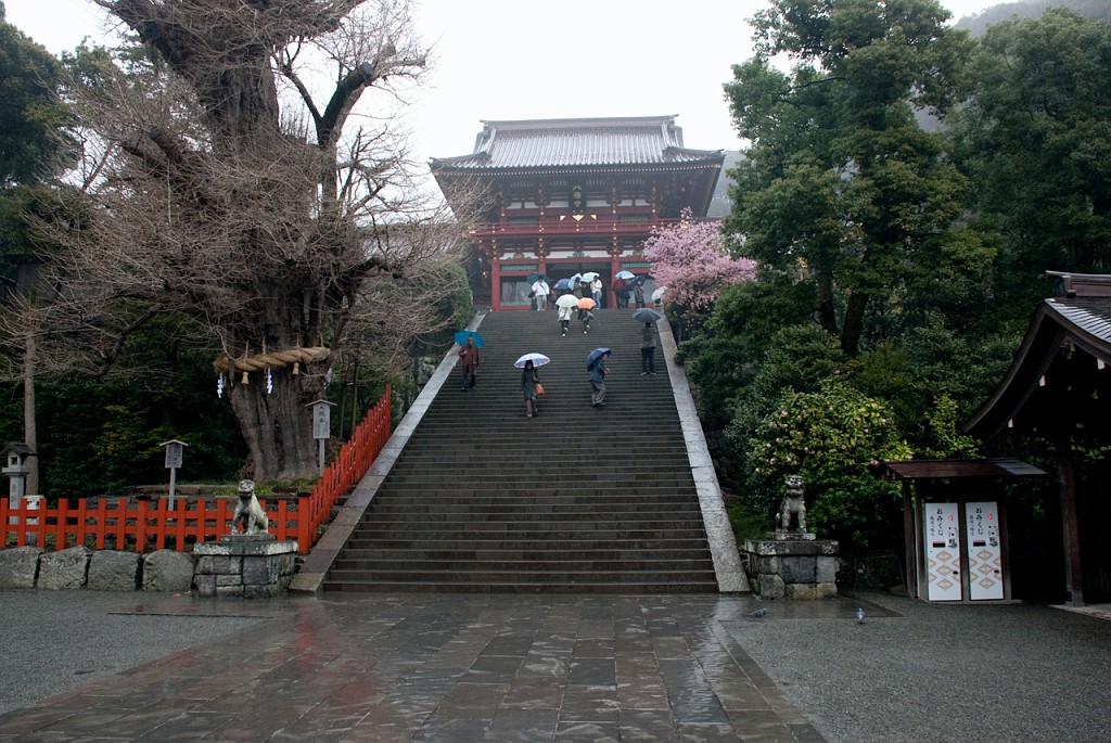 067_5409.jpg - Tsuruoka-hachimangu Shrine, Kamakura