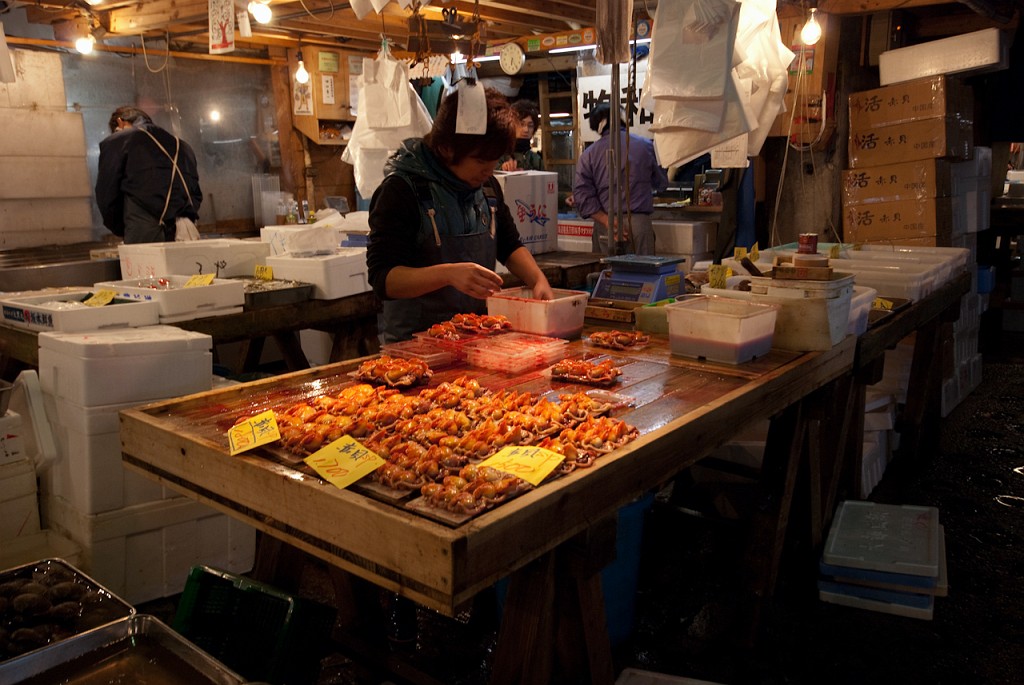 113_5642.jpg - Tsukiji Fish Market