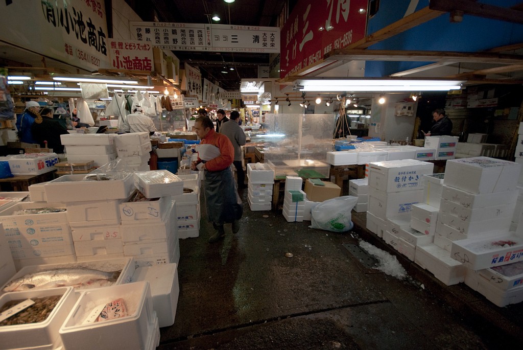 125_5672.jpg - Tsukiji Fish Market