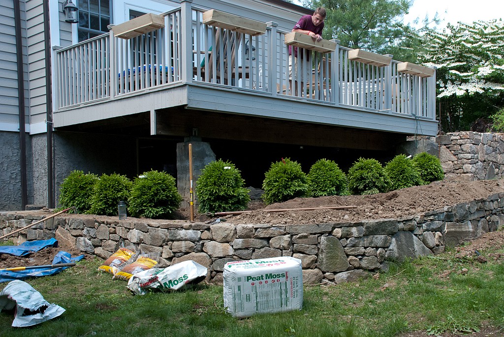 DSC_8555.jpg - The new boxwoods are in place.
