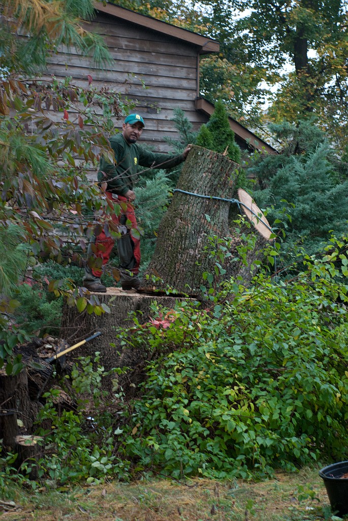 DSC_8161.jpg - Give it a push and...