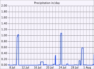 Daily rain graph