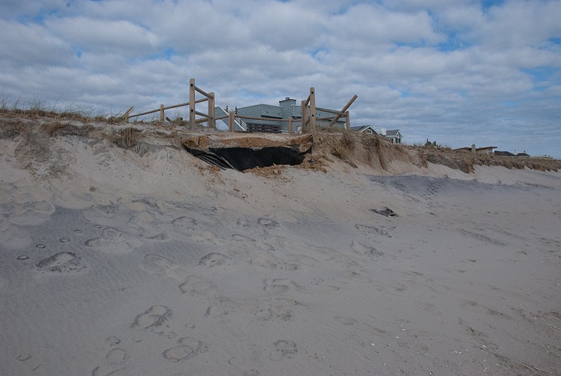 DSC_0368.jpg - On the ocean side of the dune the walkway has been taken away by Hurricane Sandy.