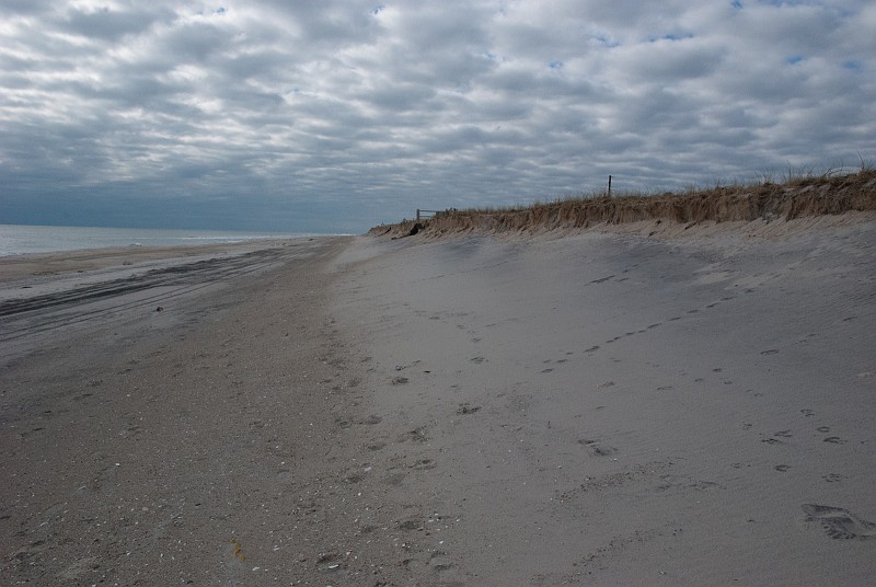 DSC_0372.jpg - It looks as though roughly half of the dune constructed in the replenishment project is gone now.